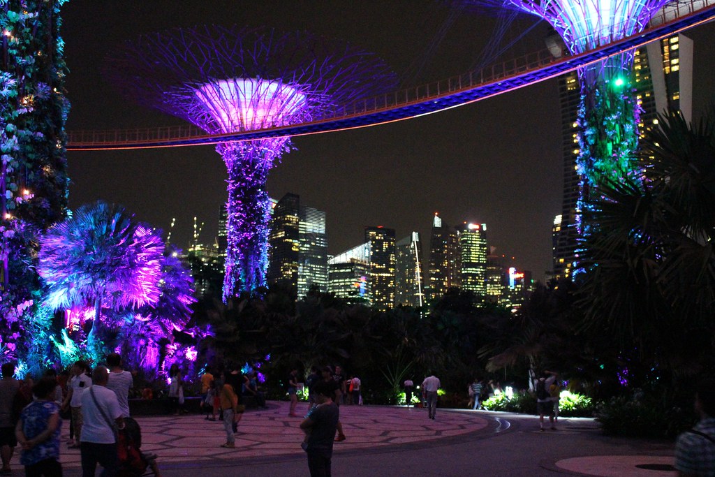 Supertrees at Gardens By The Bay, Singapore