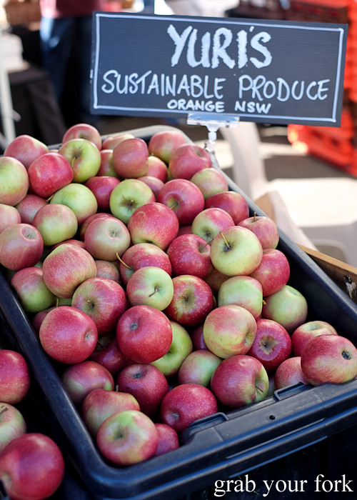 Apples by Yuri's Sustainable Product in Orange at the Canterbury Foodies and Farmers Market, Sydney