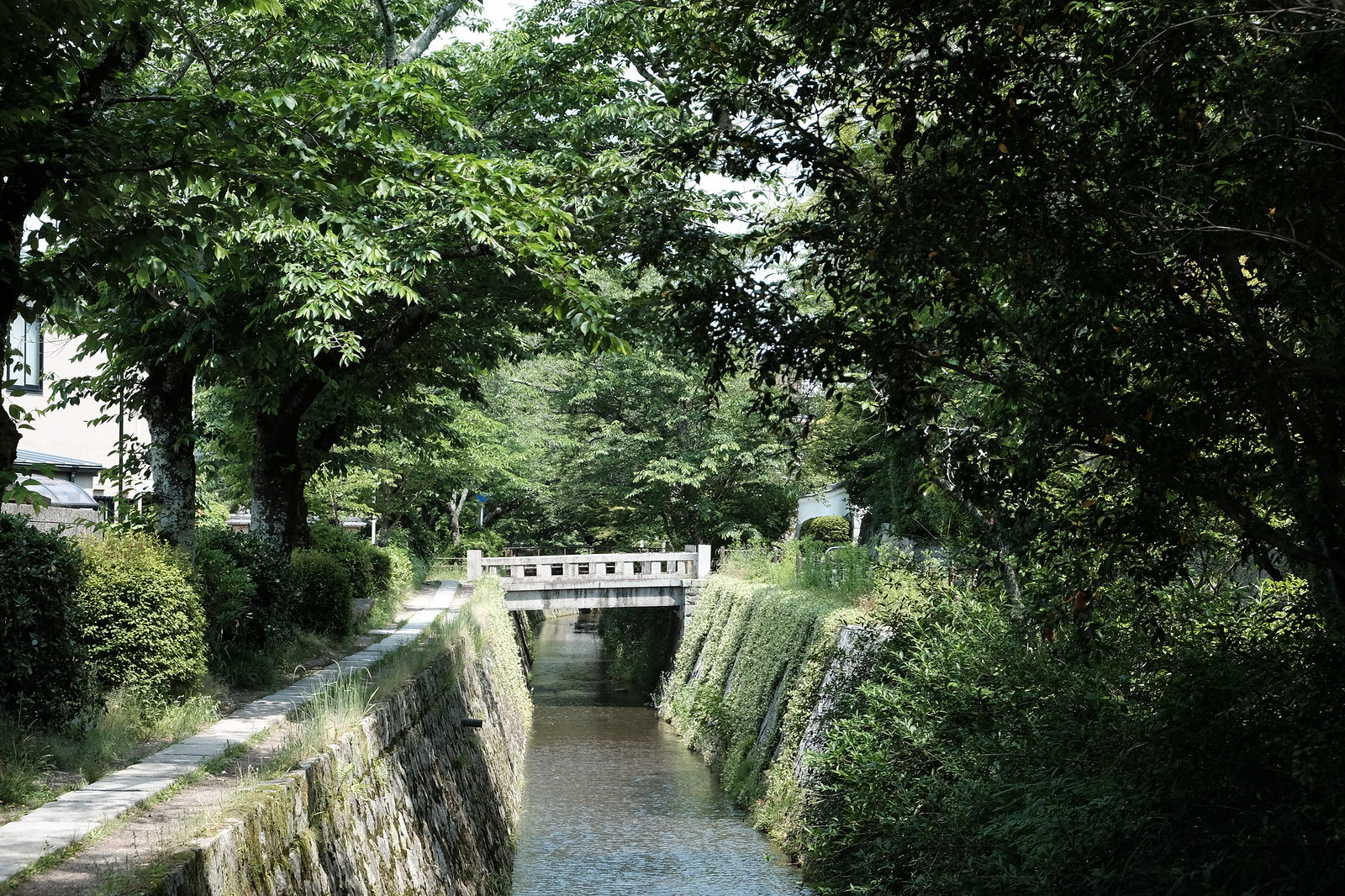 京都 哲學之道 銀閣寺 Maptabi