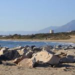 006sp. Playa de Artola, Cabopino, Marbella, Spain. 26-Jan-15; Ref-D108-P006sp