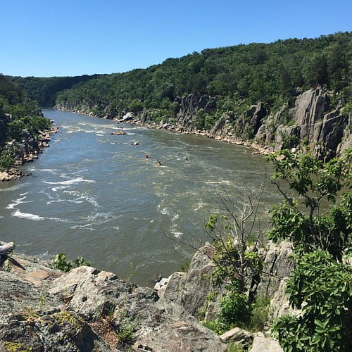 Views of the Potomac from Saturday's hike in Great Falls. #nofilter needed