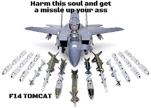 F14Tomcat_ProtectionStamp