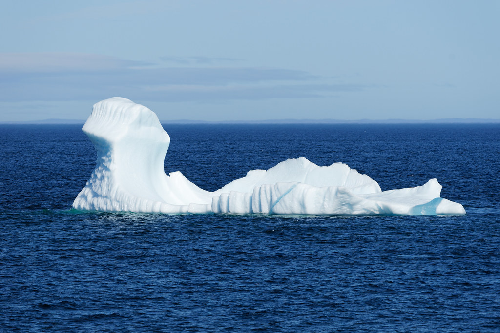 Bonavista Iceberg