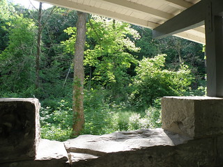 View From The Shelter