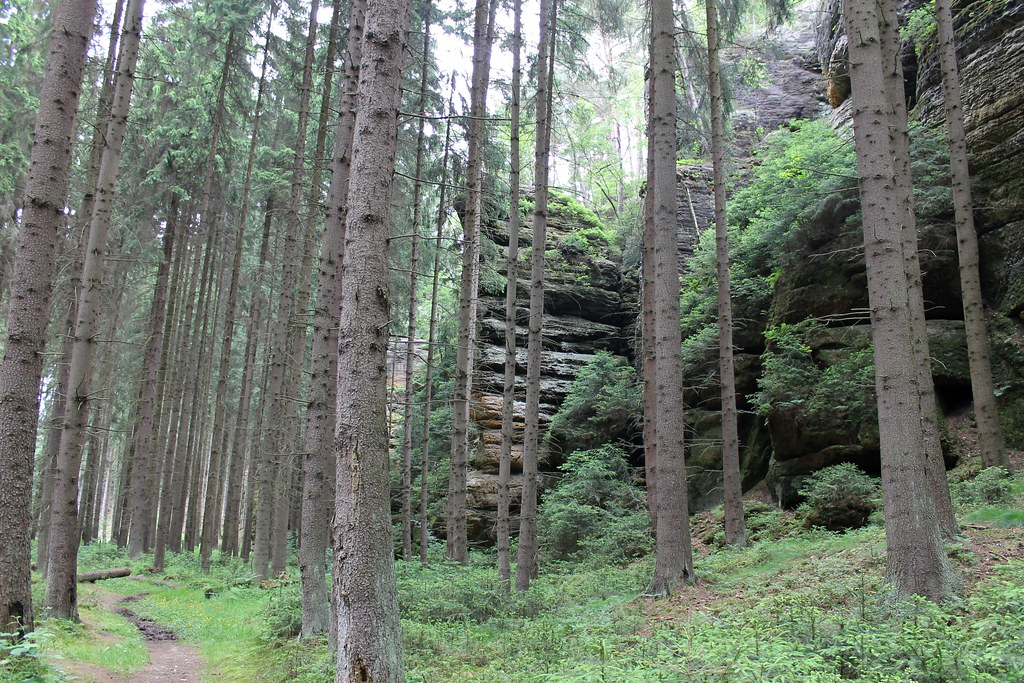 sandstone pillars along the Čertova rokle trail