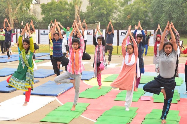 AMU Faculty members, students and staff performing Yoga (4).JPG
