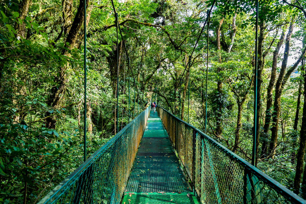 Puente colgante en Monteverde