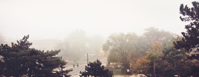 Foggy 10th Street #iubloomington #indianauniversity #iu #fog #fall #autumn