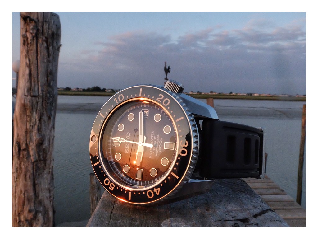 Mon top 10 de mes montres de plongée ;) - Page 43 26453722453_94767339fc_b
