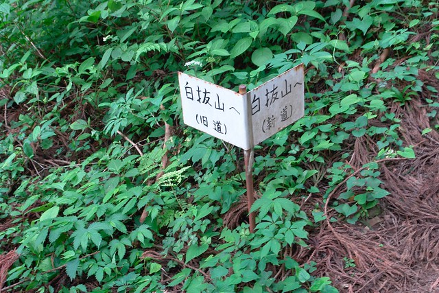 Atack to Mt,"SHIRANUIYAMA" "WASSOUGADAKE"