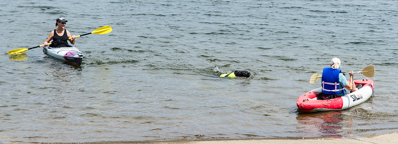Water Dog with Kayak 2
