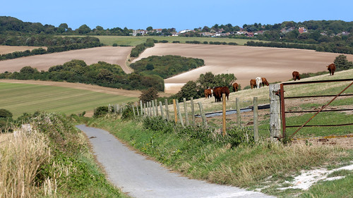 A walk to Kingsdown and back