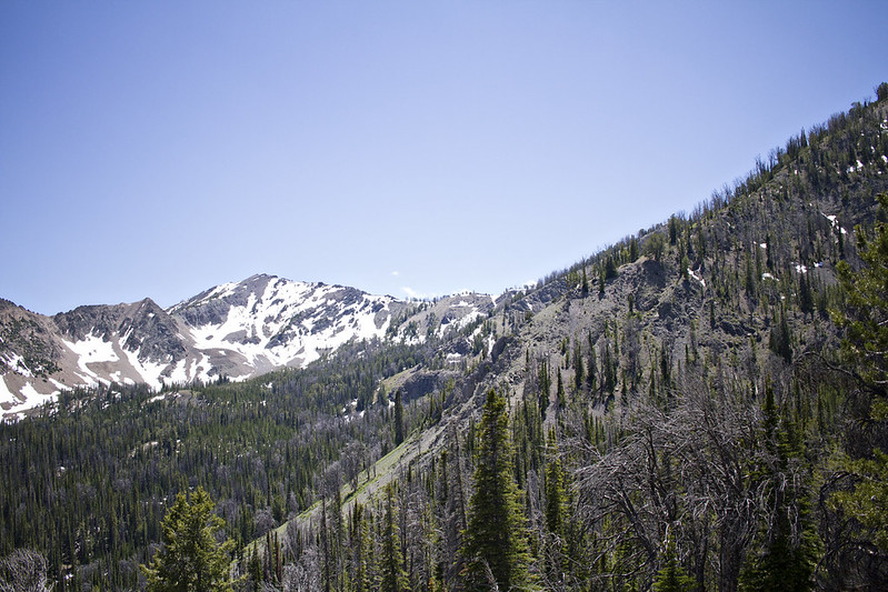 Idaho 6-16