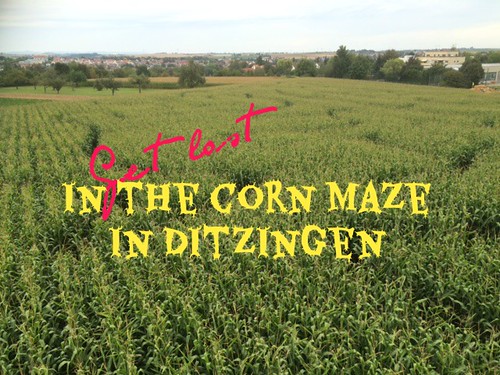 read more about the corn maze in Ditzingen