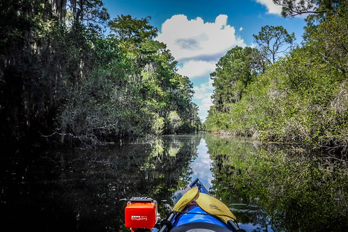 Lowcountry Unfiltered at Okefenokee-090