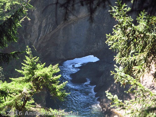 The view is a bit through-the-trees of a natural bridge, Samuel H. Boardman State Scenic Corridor, Oregon