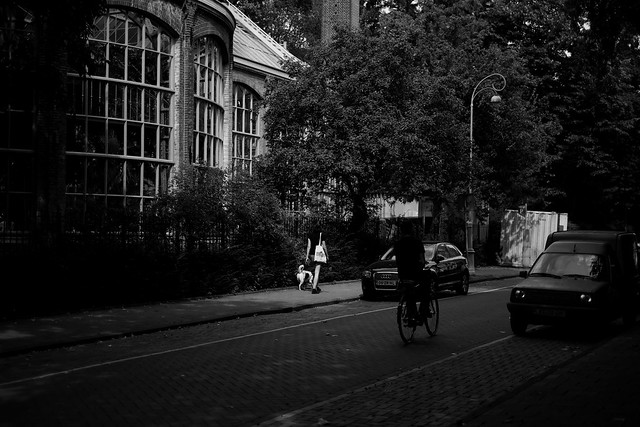 tardy summer afternoon in Amsterdam