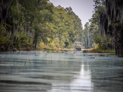 Lowcountry Unfiltered at Okefenokee-257