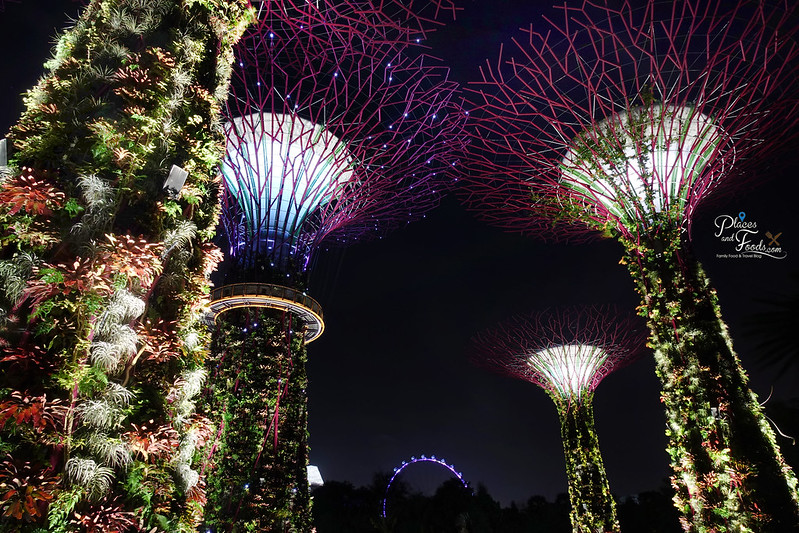 gardens by the bay night trees