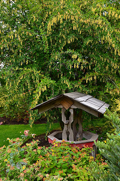 Laurel Hedge Gardens (Estacada, Oregon)