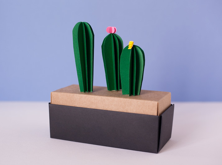 diy-cactus-papel-3d-fin-01