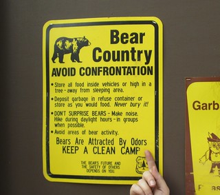 Bear warning sign