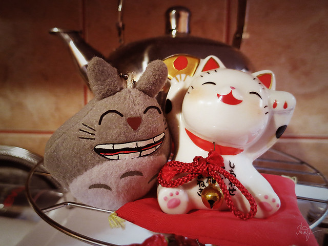 Day #217: totoro has a good time in the cheerful company
