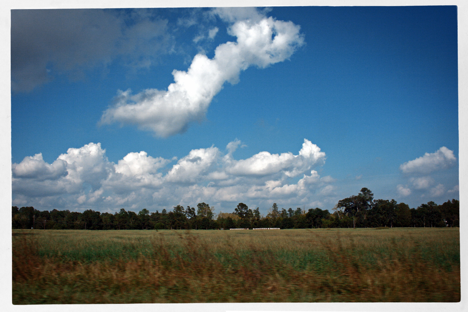 Field and Running Cloud, South Carolina