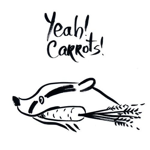 Food preferences #badger #badgerlog #parenting #kids #food #whatiate #kidsfood #pickyeater #choices #carrot #carrots #yay #yeah