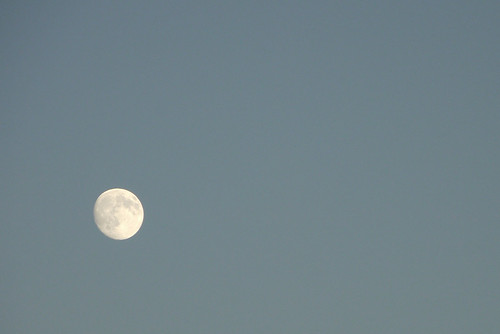Salisbury Moon