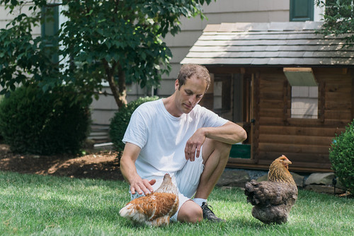 A man and his chickens.
