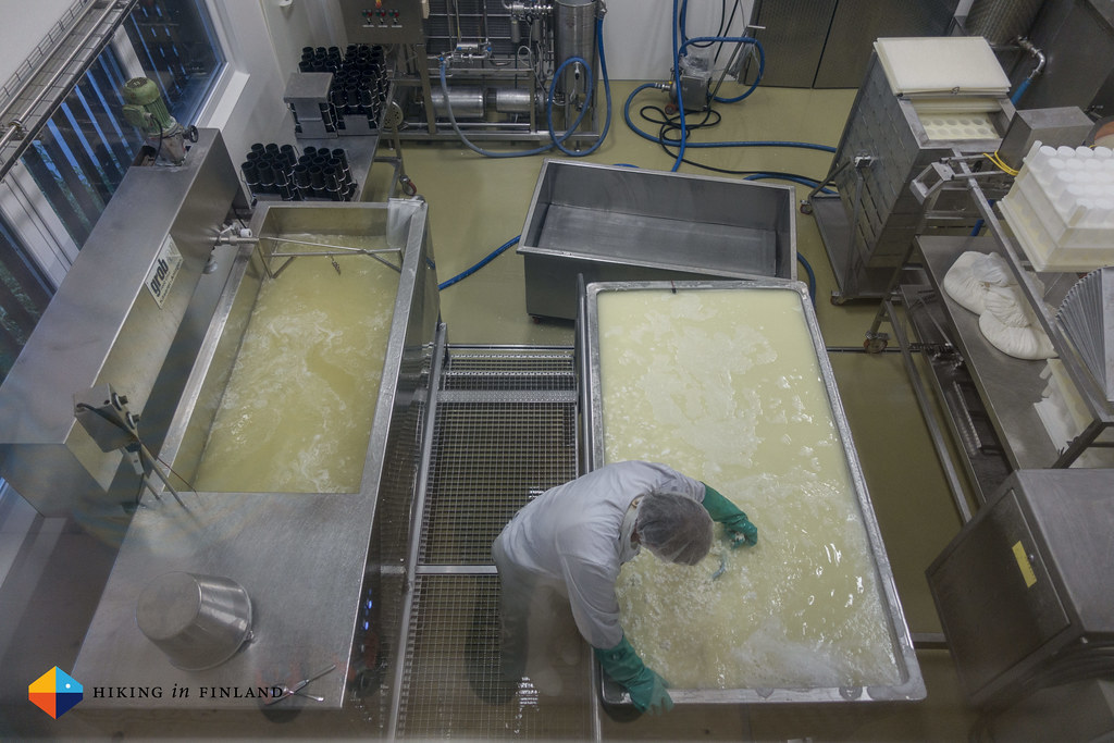 Making cheese at Metzler Hautnah