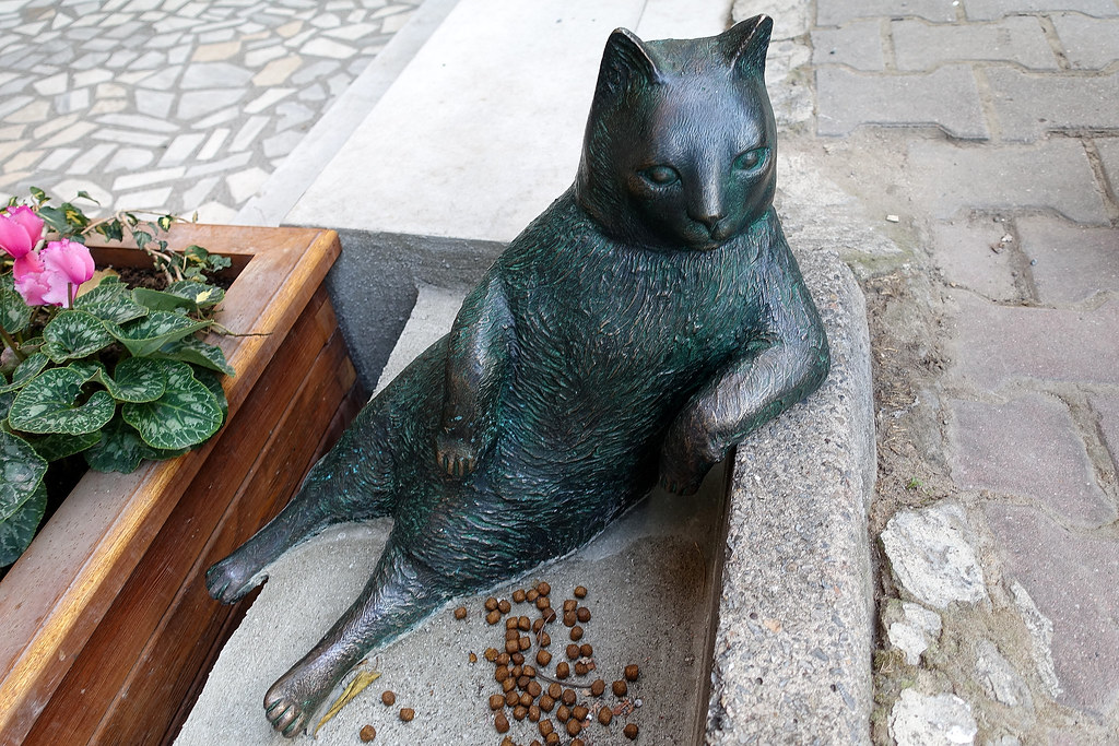 In Memory of Istanbul's Phenomenal Cat - Tombili