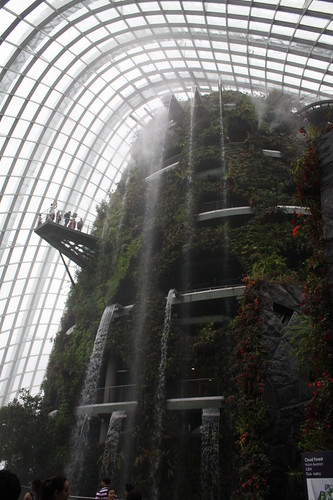 Gardens by the Bay cloud forest