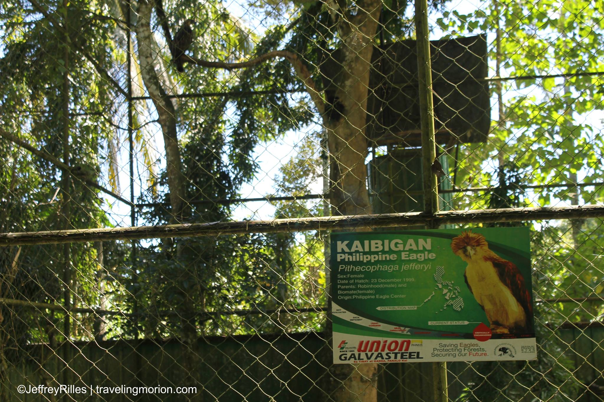 Philippine Eagle Center in Davao
