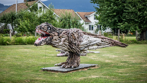 Driftwood Dinosaurs-003