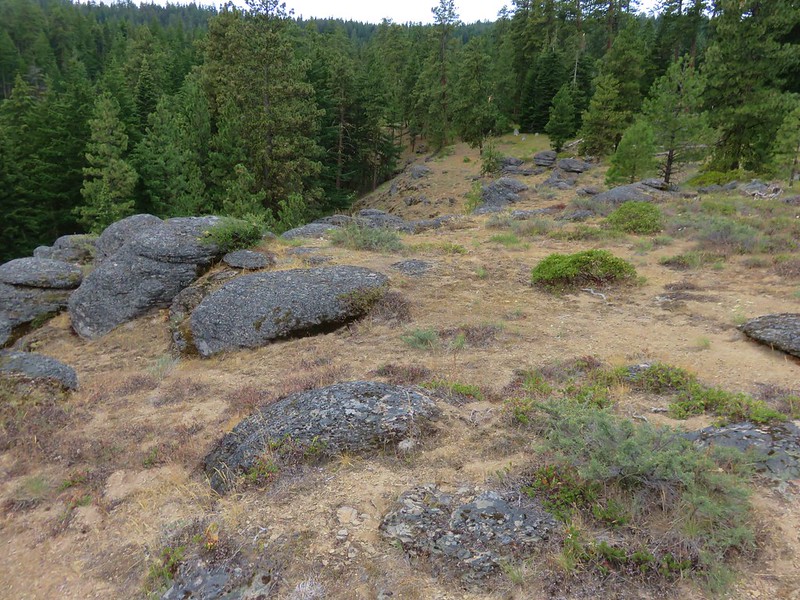 Andesite along the Fifteenmile Trail