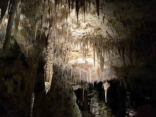 Mammoth Cave, Western Australia