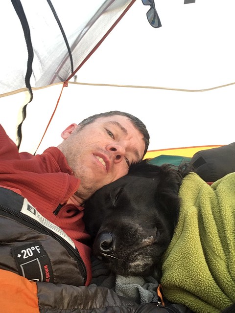 Morning in the tent