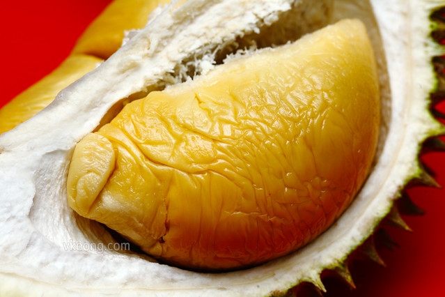 Sinnaco Creamy Durian D24