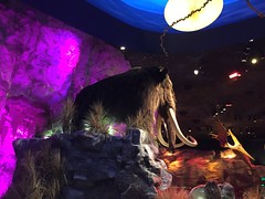T-Rex Restaurant Disney World