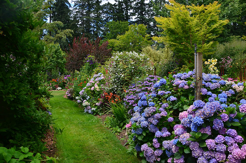 Portland garden