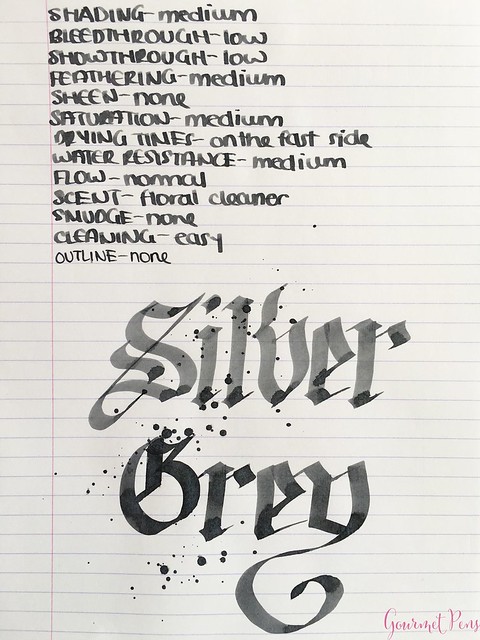 Ink Shot Review @Laywines Silver Grey 5