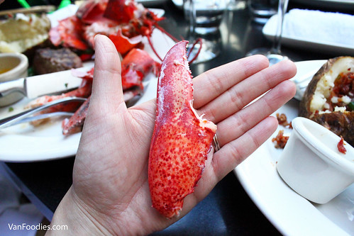 Size of lobster claw!